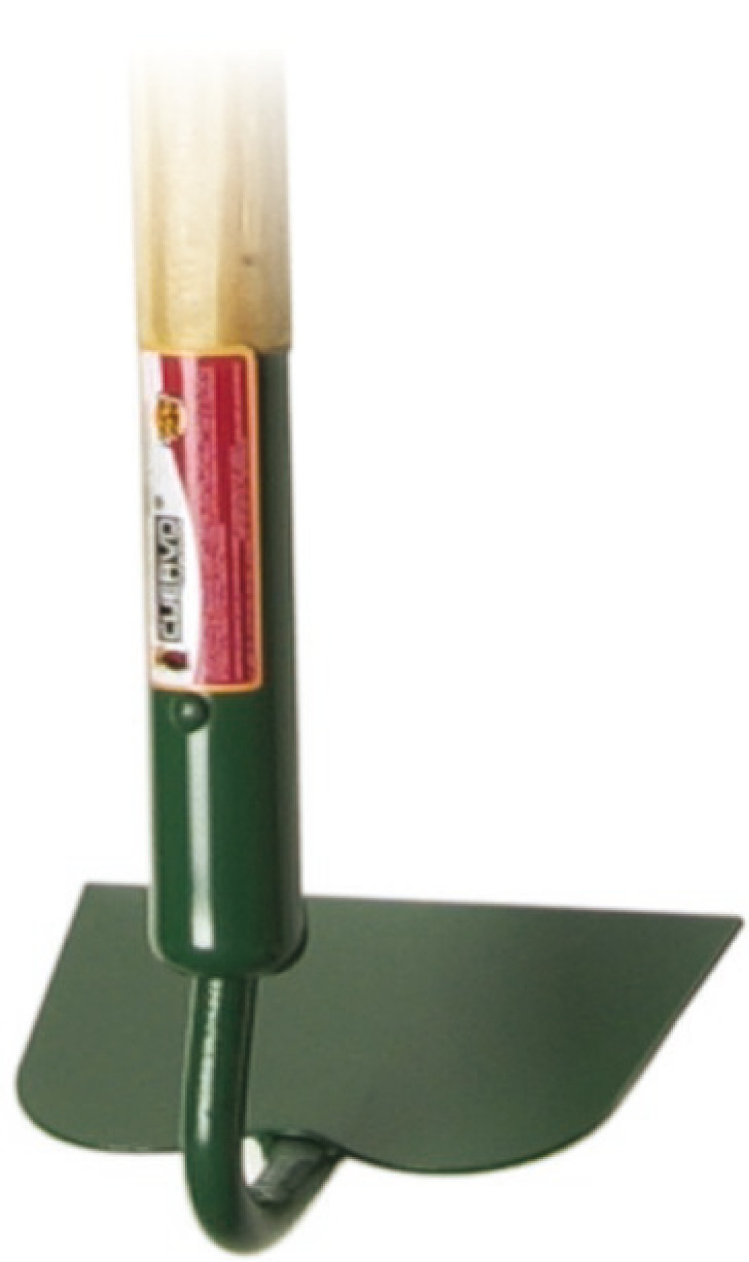 Categoria Accesorios